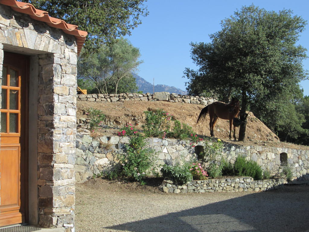 L'Albadu Villa Corte  Exterior photo